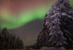 Aurora Boreal Noruega: Caçada em grupo para ver as Luzes do Norte