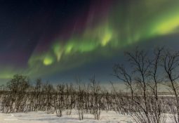 Expedição Aurora Boreal com Marco Brotto Noruega